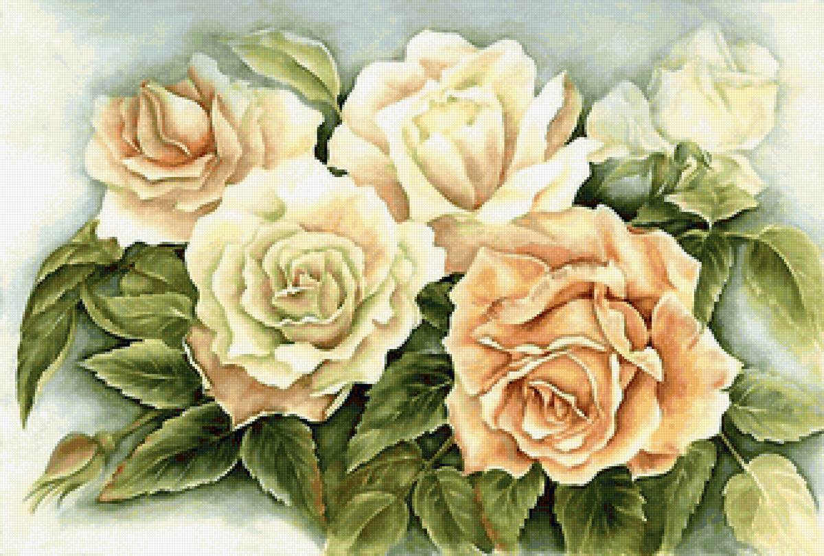 розы - предпросмотр