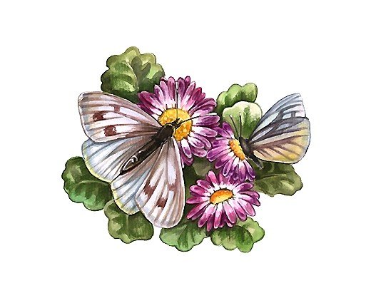 бабочки - оригинал