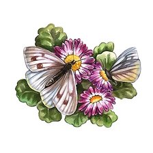 Оригинал схемы вышивки «бабочки» (№2156622)