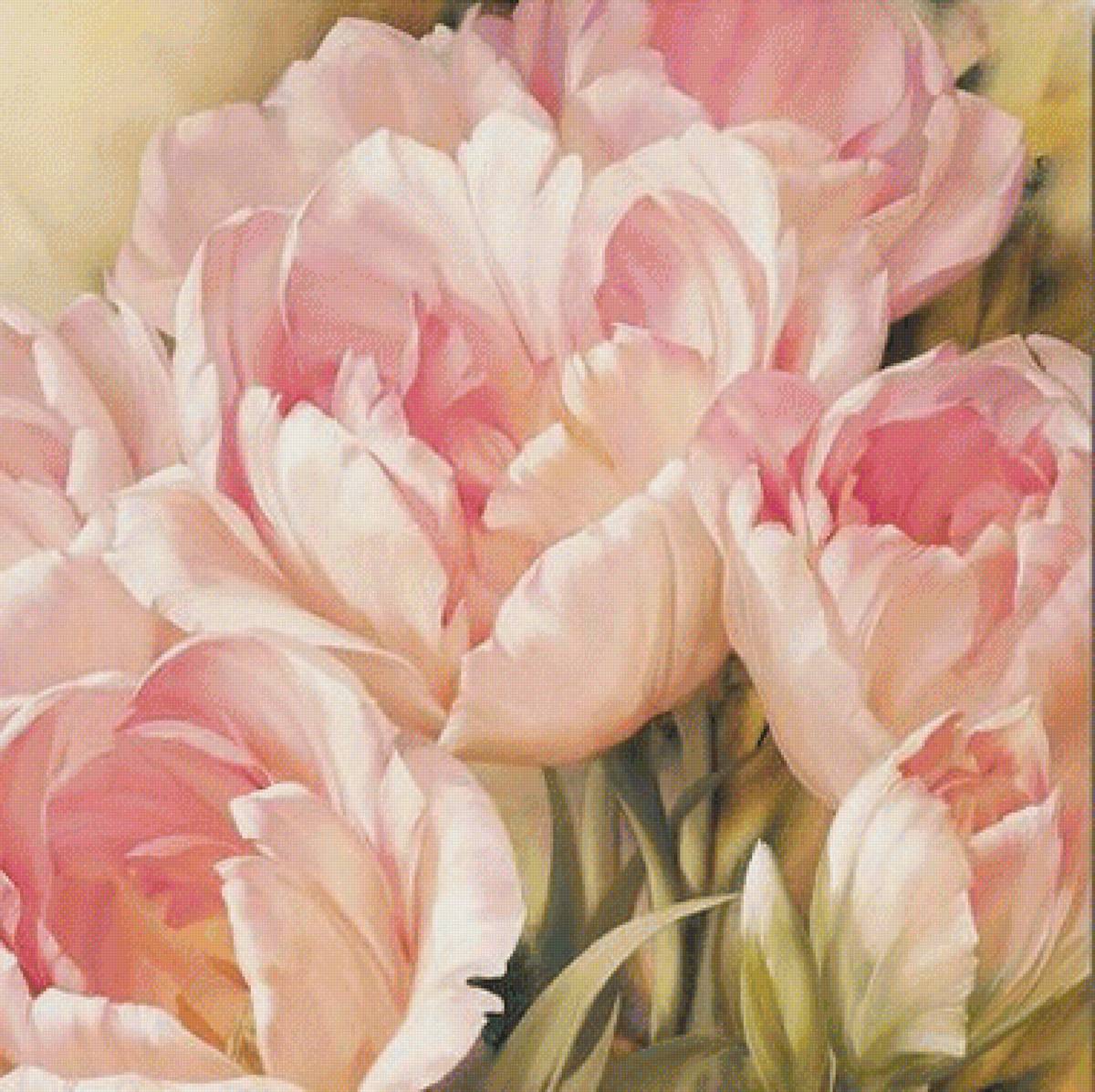Розовые тюльпаны - живопись, тюльпаны, цветы, натюрморт - предпросмотр
