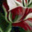 Предпросмотр схемы вышивки «Тюльпаны» (№2157105)