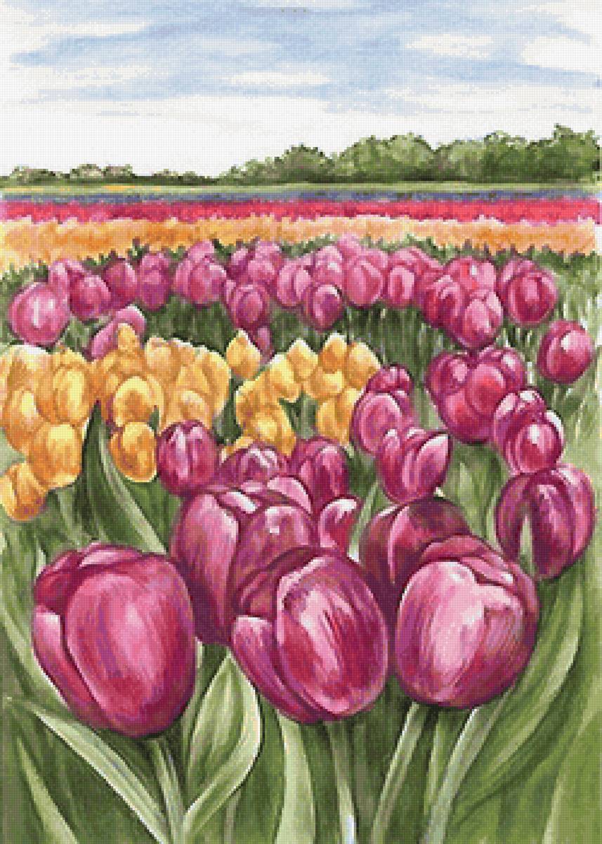 №2157115 - предпросмотр