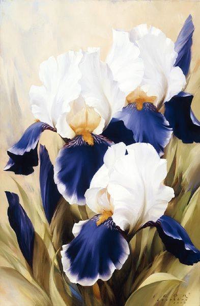 irysy niebieskie - оригинал