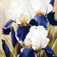 Схема вышивки «irysy niebieskie»