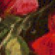 Предпросмотр схемы вышивки «розы» (№2157205)