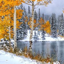 Схема вышивки «№2157576»