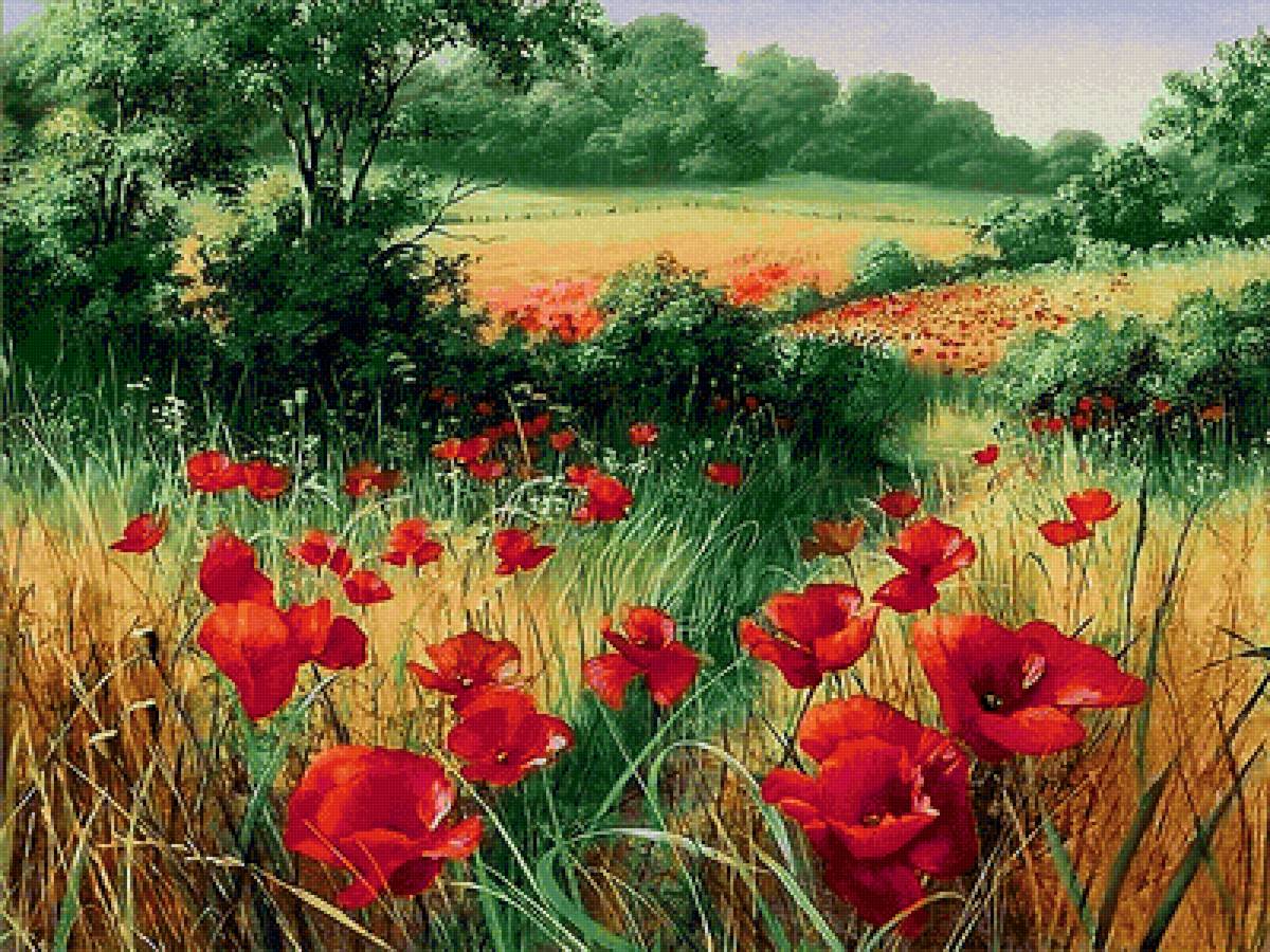 №2157991 - предпросмотр