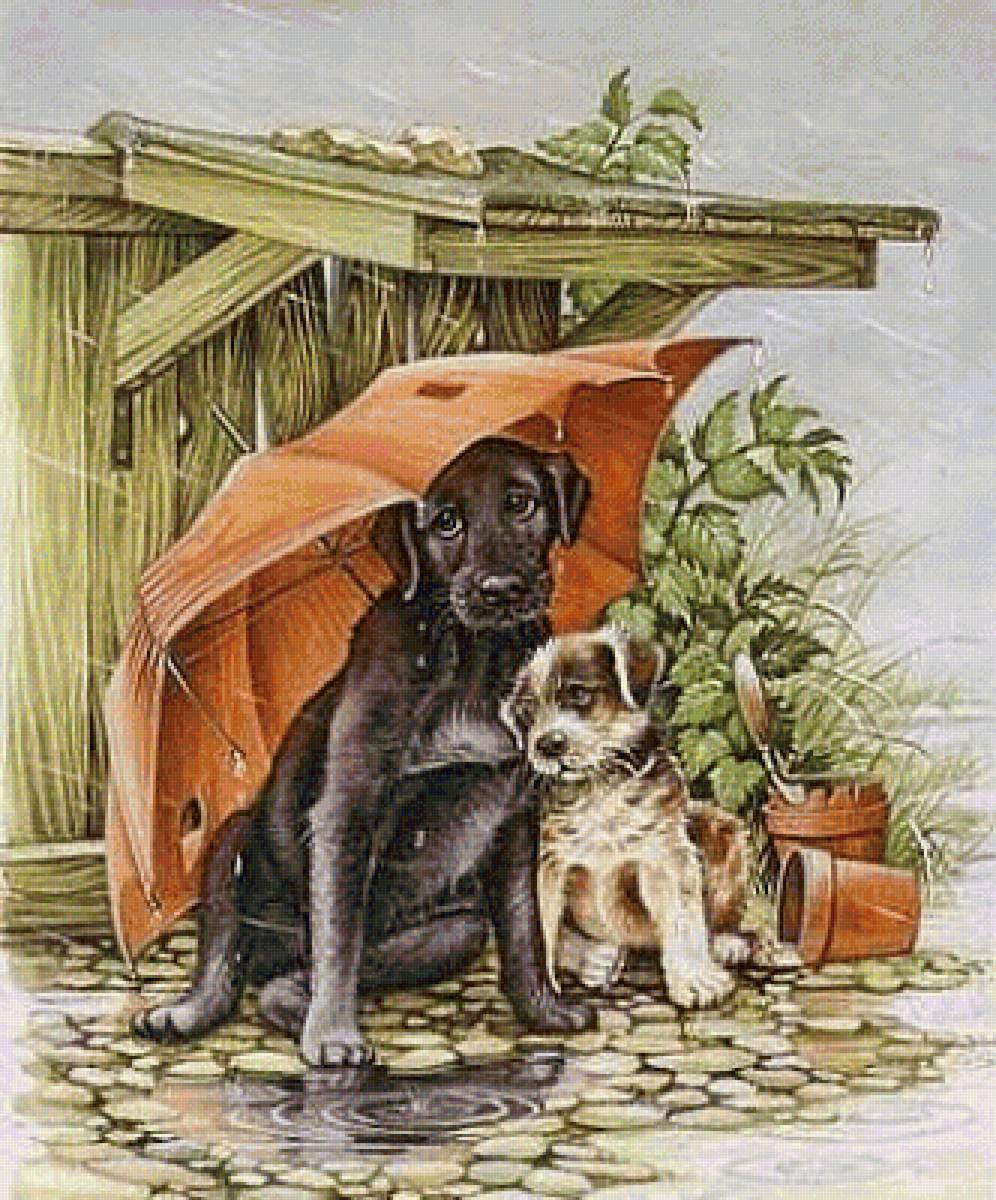 Кидай тему. Собака иллюстрация. Картина собаки. Собака под зонтом. Собаки в живописи.