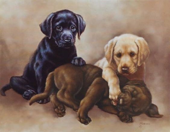 tres perros 3 - animales - оригинал