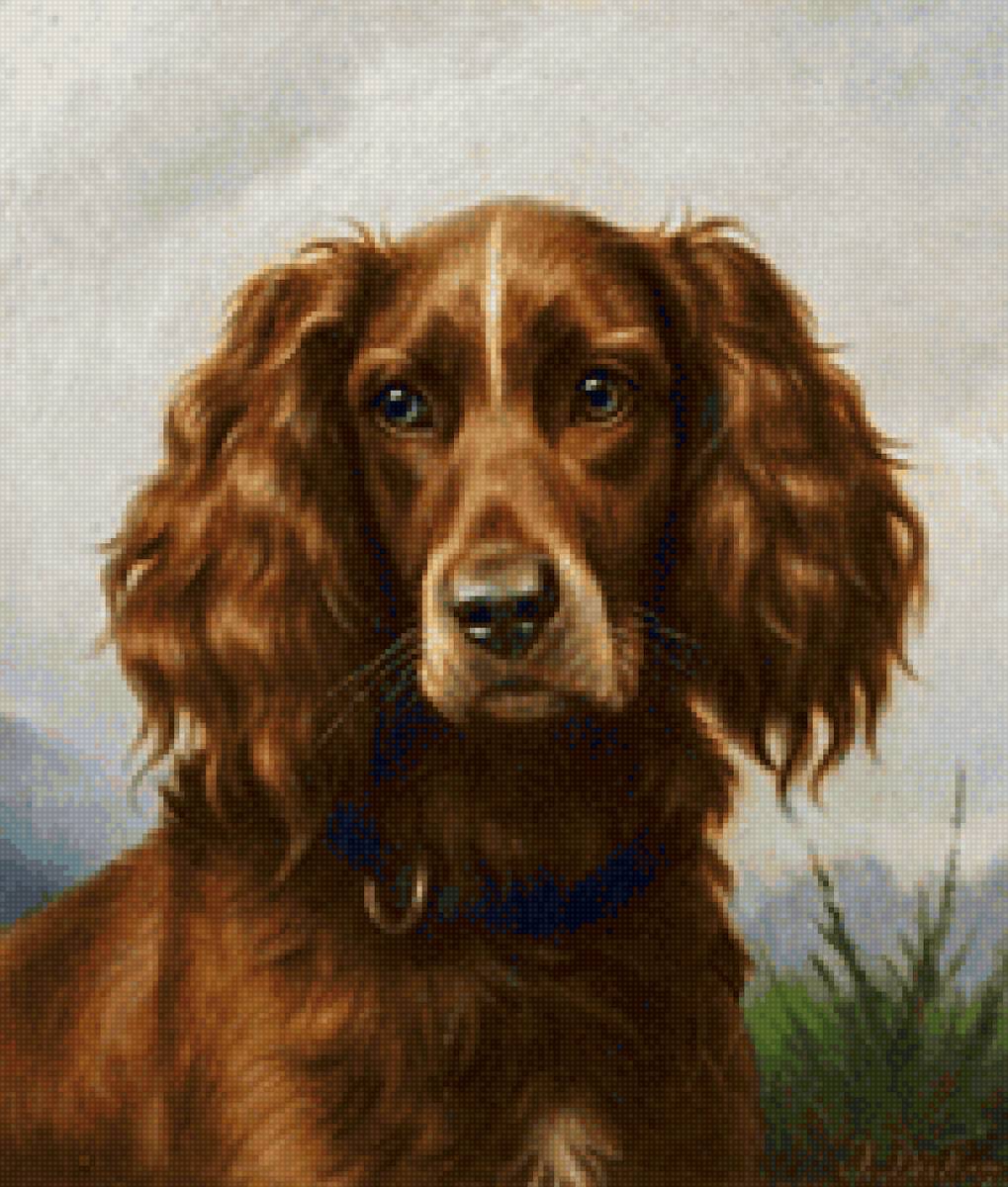 №2158853 - предпросмотр