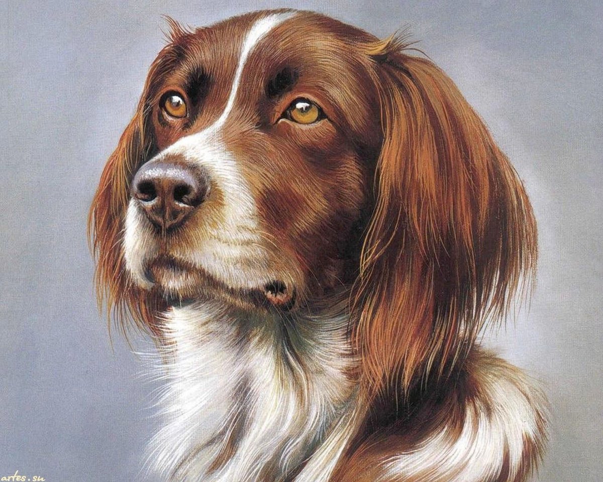 №2158882 - оригинал