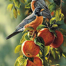 Схема вышивки «Птицы на яблоне»