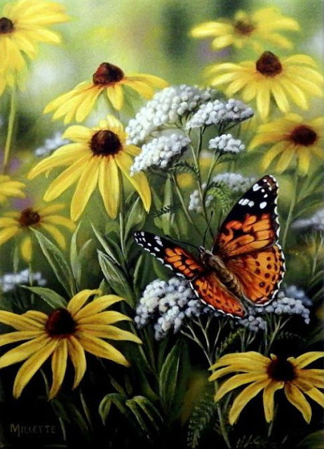 Бабочка - полевые цветы, бабочка, ромашки - оригинал