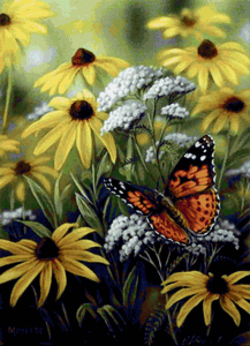 Бабочка - полевые цветы, ромашки, бабочка - предпросмотр