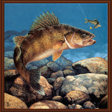 Схема вышивки «№2159076»