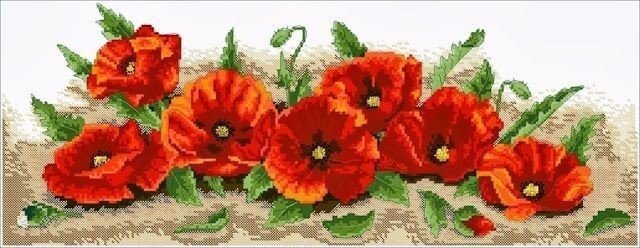 Красные маки - маки, цветы - оригинал