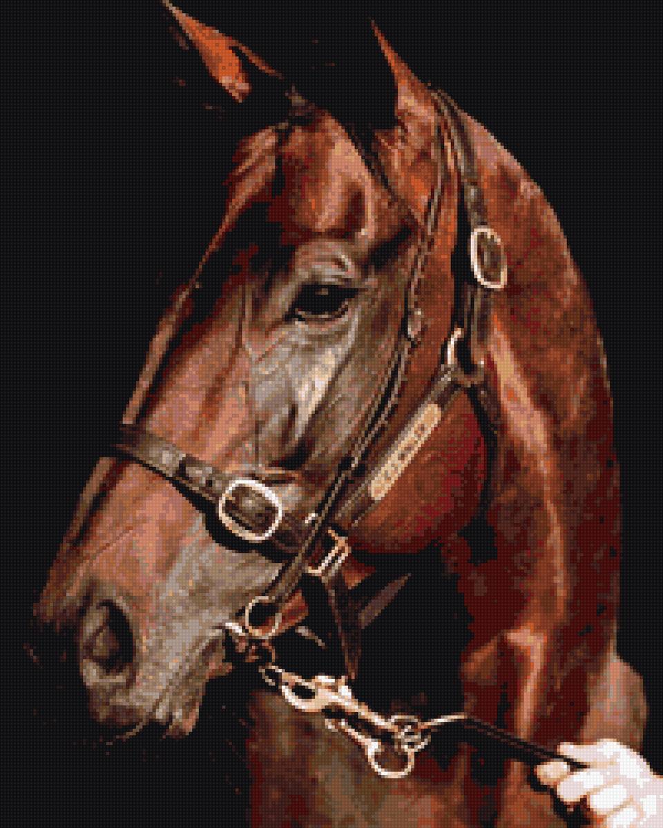 Конь - лошадь, конь - предпросмотр