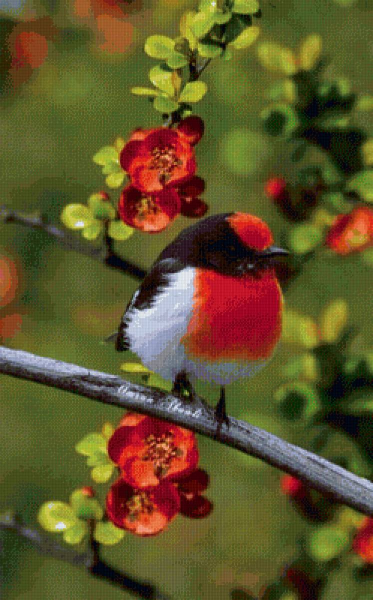 №2159605 - птицы - предпросмотр