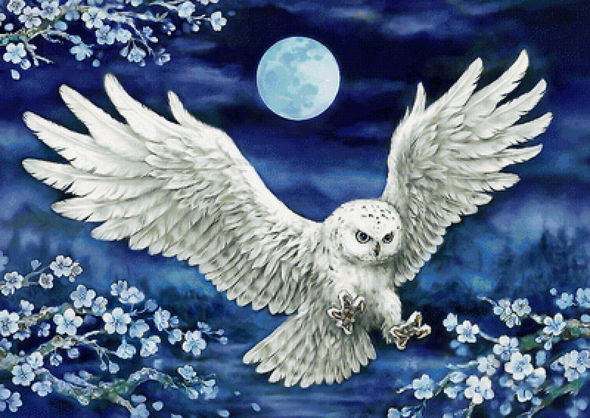 Серия "Птицы". Сова - птицы, фауна - предпросмотр