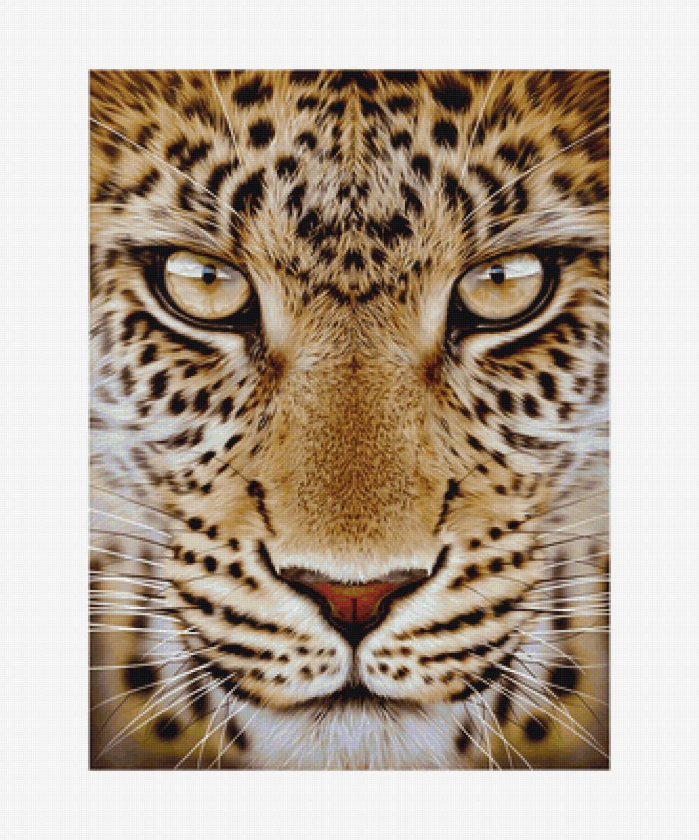 Серия "Хищники". - животные, хищники - предпросмотр