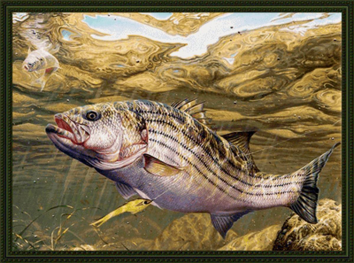 №2159749 - рыбалка, подводный мир, рыбы - предпросмотр