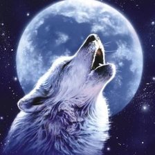 Схема вышивки «Волк и луна»