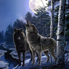 Схема вышивки «Волки ночью»