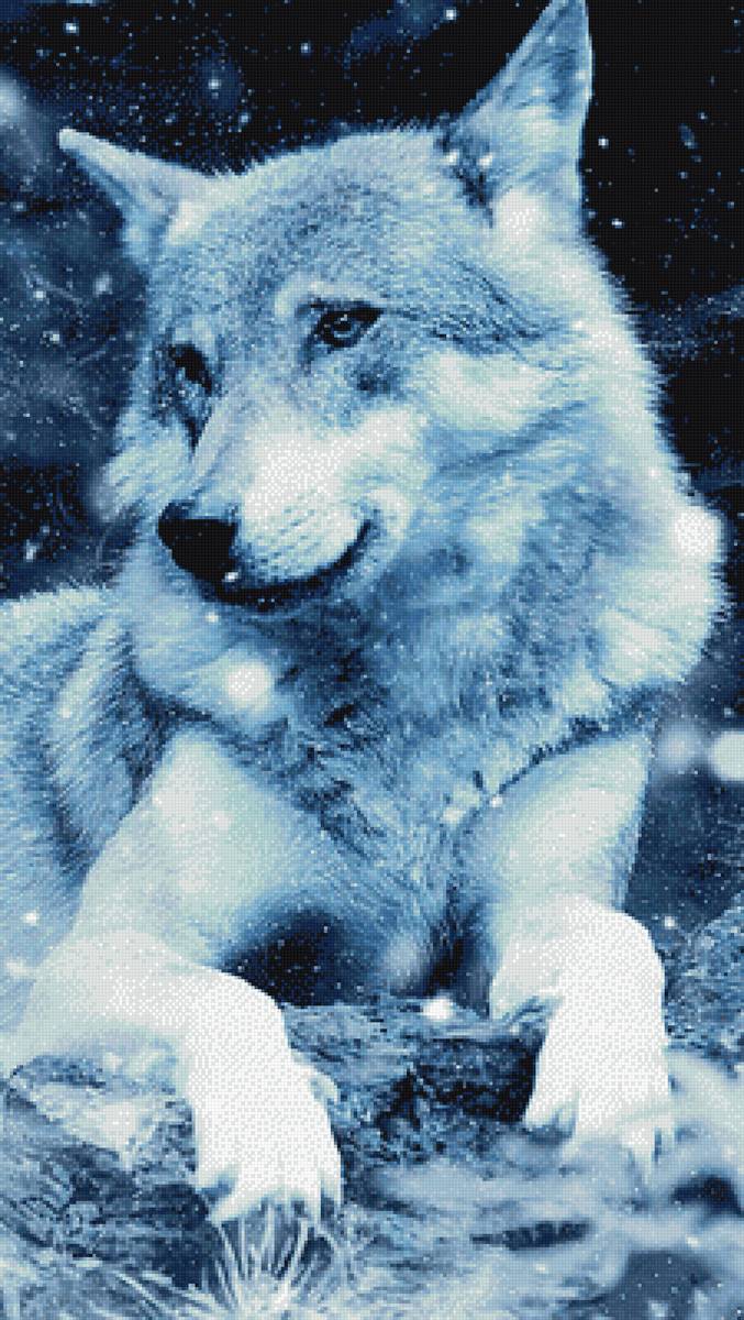 Волк белый - животные, волк, дикая природа - предпросмотр