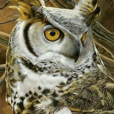 Схема вышивки «птицы»