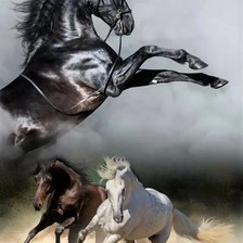 Схема вышивки «№2160131»