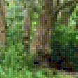 Предпросмотр схемы вышивки «Лесной ручей с порогами» (№2160160)