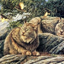 Схема вышивки «Рыси»