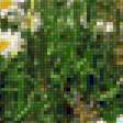 Предпросмотр схемы вышивки «Ромашковое поле» (№2160167)