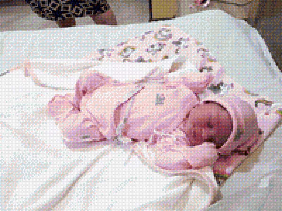 nita - предпросмотр