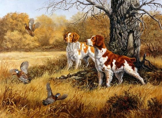 на охоте - собаки - оригинал