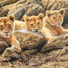 Схема вышивки «Львы»