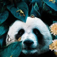 Схема вышивки «панда»