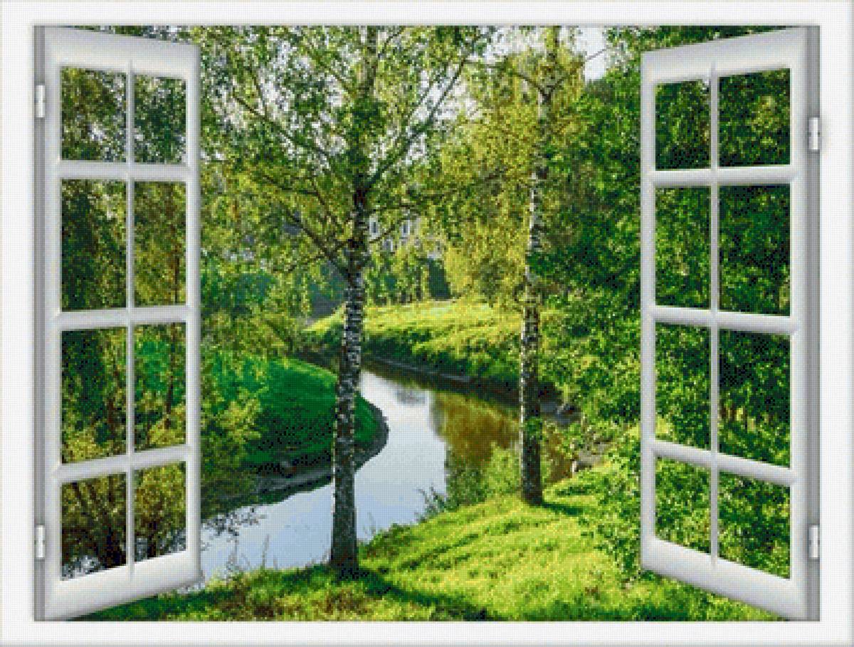 вид из окна - дом, береза - предпросмотр