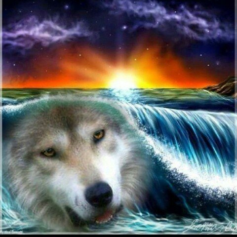 волк и море - оригинал