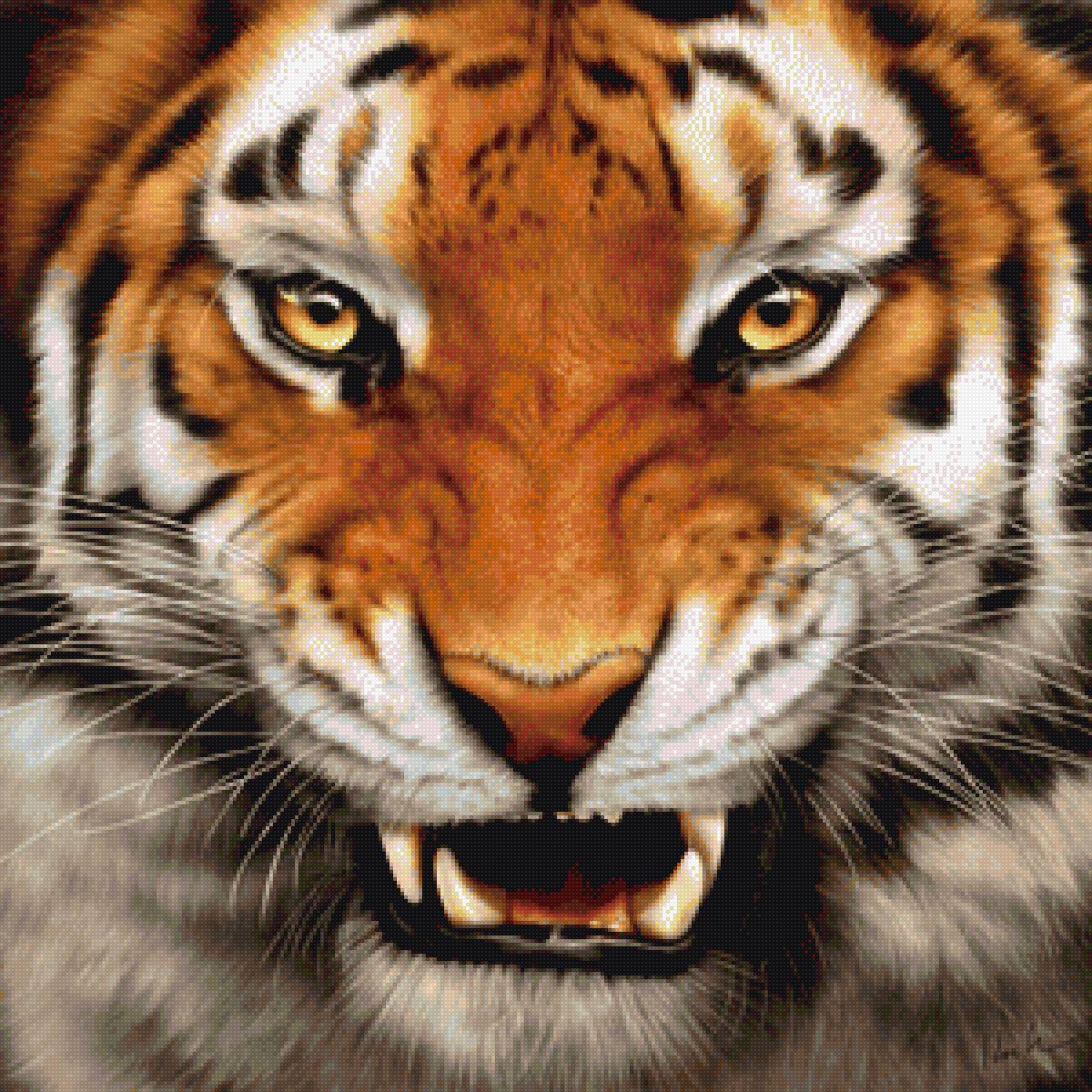 Тигр рычащий - тигр, дикая природа, животные - предпросмотр