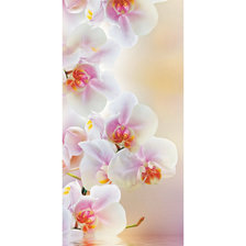 Оригинал схемы вышивки «Орхидея» (№2161938)