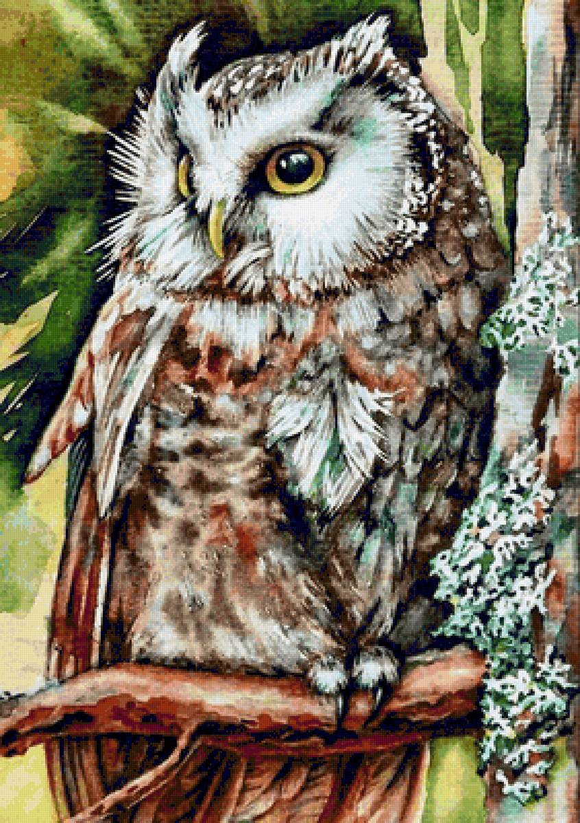 Филин - дикие, птицы, филин - предпросмотр