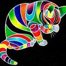 Радужный кот