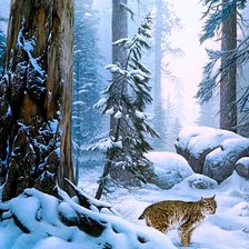 В зимнем лесу