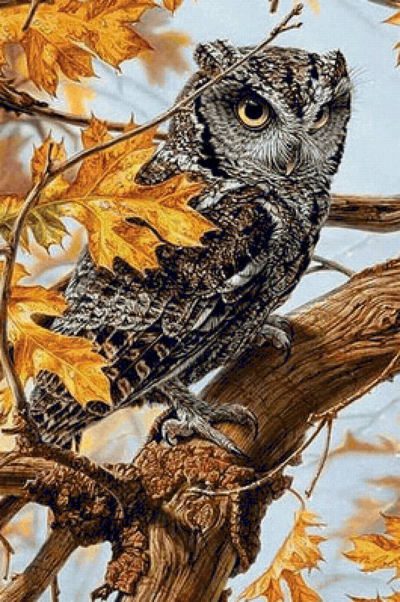 Филин - птицы, филин, дикие - предпросмотр