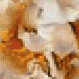 Предпросмотр схемы вышивки «Белые пионы» (№2163034)