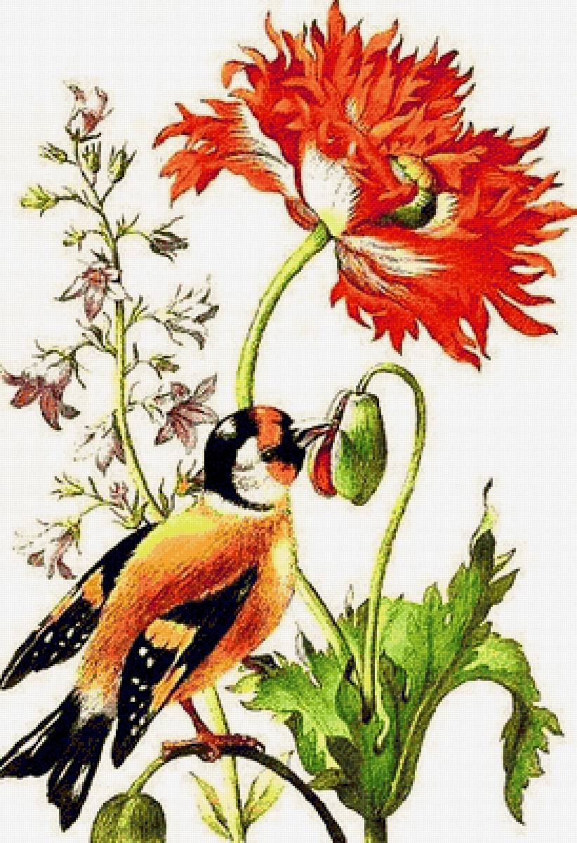 Птичка-невеличка - птица, цветы - предпросмотр