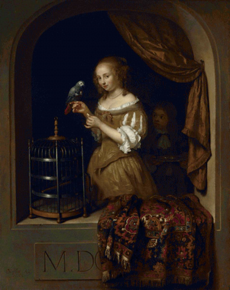 Caspar Netscher. Девушка с попугаем - жанровая живопись, 17 век, портрет, девушка - предпросмотр
