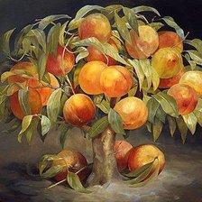 Схема вышивки «№2163657»