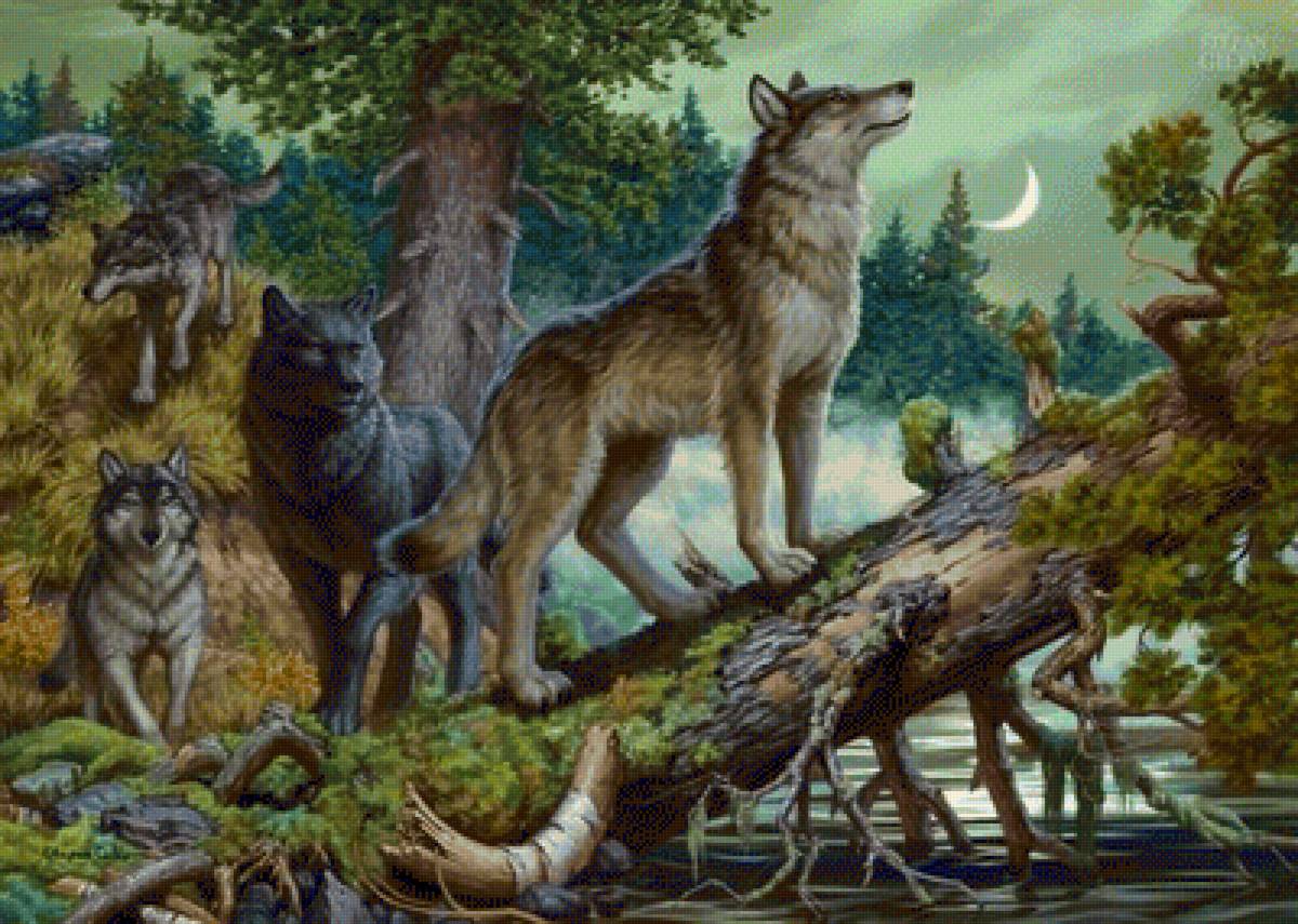 Стая - волки, лес, река - предпросмотр